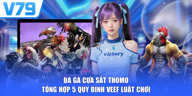 Đá Gà Cựa Sắt Thomo - Tổng Hợp 5 Quy Định Veef Luật Chơi